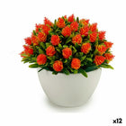 Dekorationspflanze Blomster Kunststoff 14 x 12,5 x 14 cm (12 Stück)