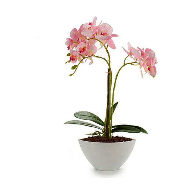 Dekorationspflanze Orchidee 16 x 49 x 28 cm Kunststoff (4 Stück)