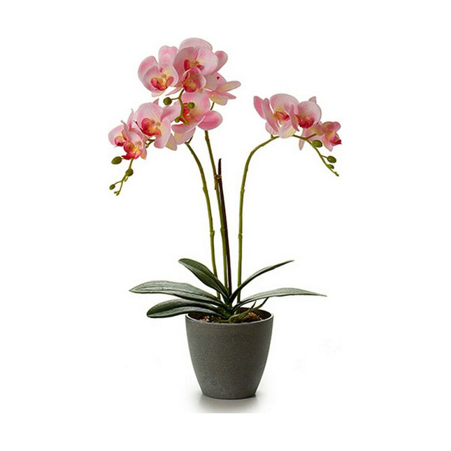 Dekorationspflanze Orchidee 19 x 48 x 24 cm Kunststoff (4 Stück)