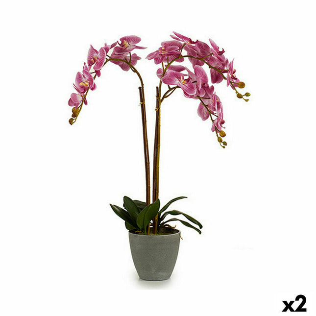 Dekorationspflanze Orchidee Kunststoff 33 x 77 x 33 cm (2 Stück)