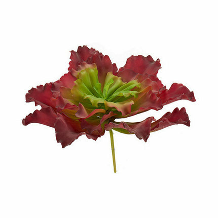 Dekorationspflanze Bettlaken groß zweifarbig Kunststoff 31 x 24 x 31 cm (6 Stück)