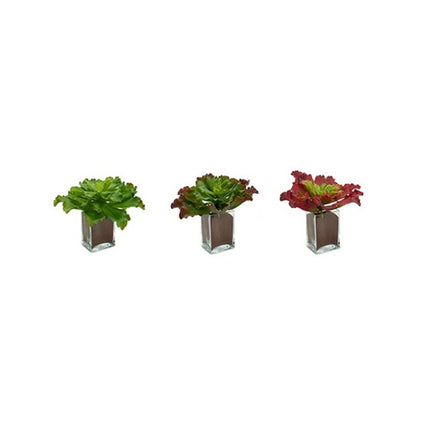 Dekorationspflanze Bettlaken groß zweifarbig Kunststoff 31 x 24 x 31 cm (6 Stück)