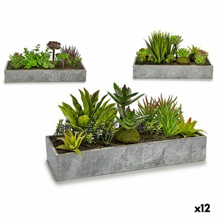 Dekorationspflanze Sukkulente Kunststoff Zement 10 x 14,5 x 30,5 cm (12 Stück)