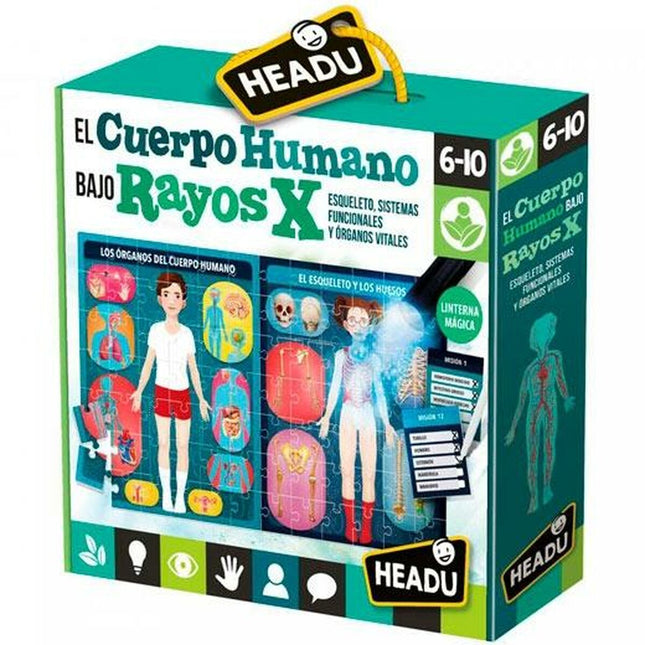 Spiel Kindererziehung HEADU El cuerpo humano Rayos X (4 Stück)