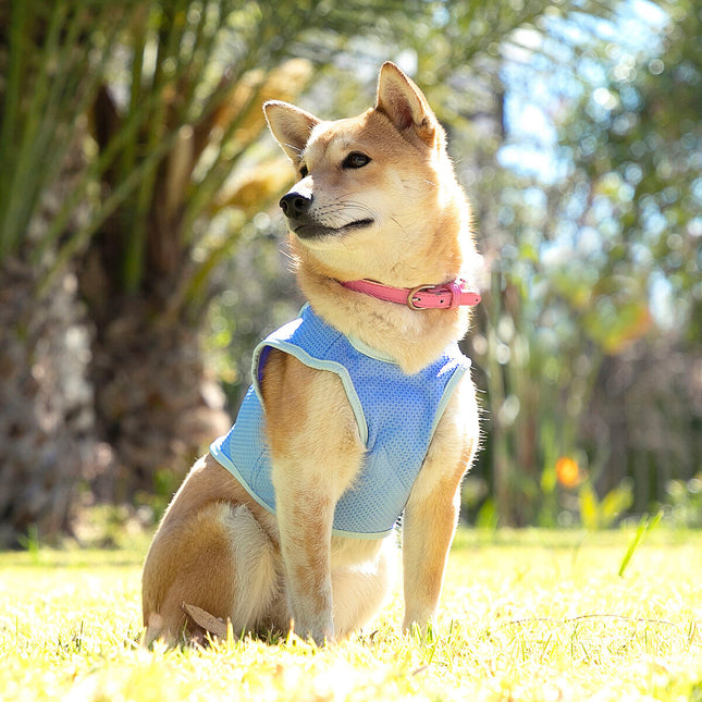Hundeweste InnovaGoods IG813888