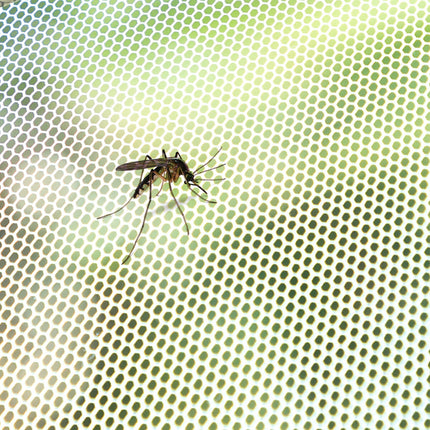 Schneidbarer Mückenschutz zum Aufkleben White InnovaGoods